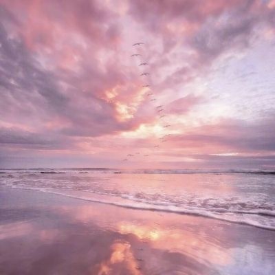 bat365的登录入口