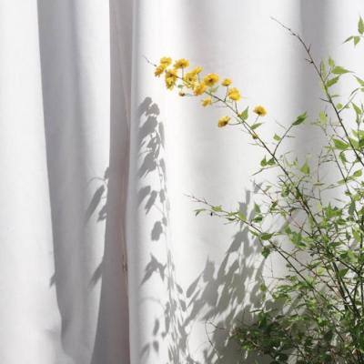 金年会电子游戏app