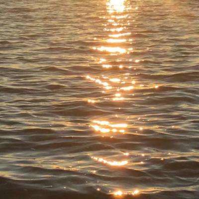 b体育手机在线登录